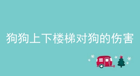 狗狗上下楼梯对狗的伤害
