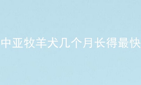 中亚牧羊犬几个月长得最快