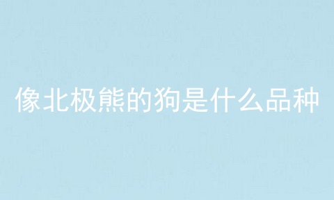 像北极熊的狗是什么品种