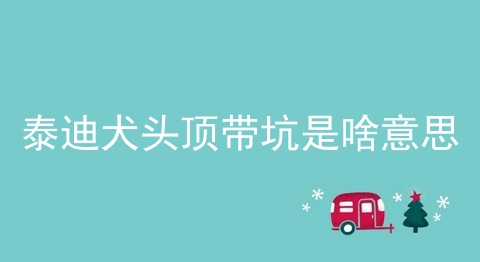 泰迪犬头顶带坑是啥意思