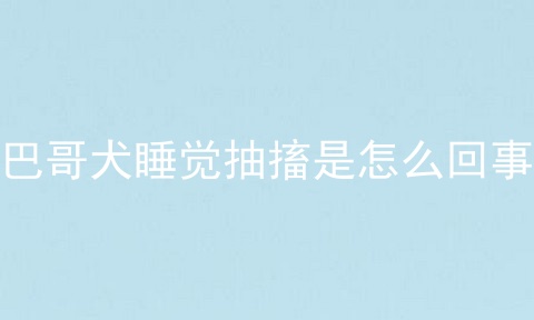巴哥犬睡觉抽搐是怎么回事
