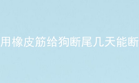 用橡皮筋给狗断尾几天能断