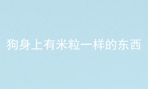 狗身上有米粒一样的东西
