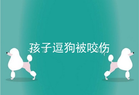 孩子逗狗被咬伤