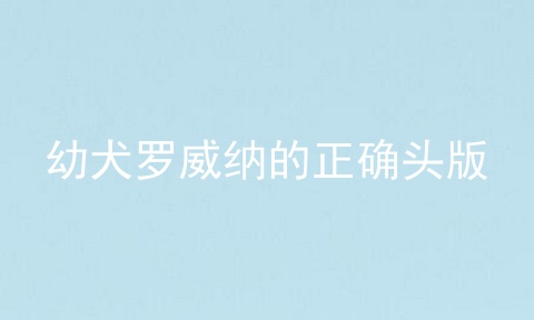 幼犬罗威纳的正确头版