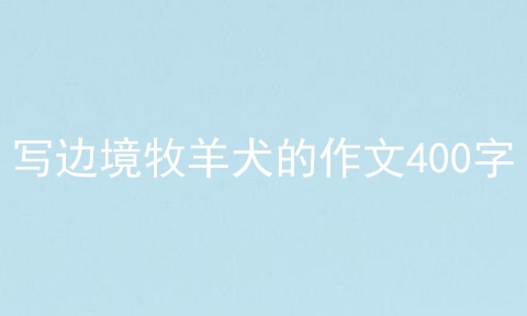 写边境牧羊犬的作文400字