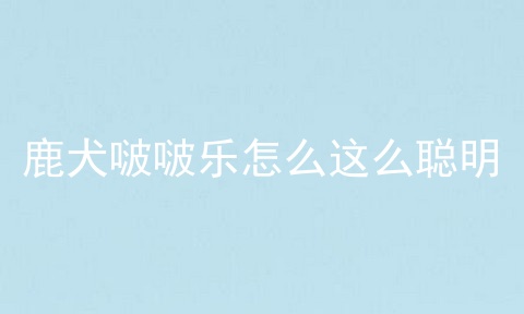 鹿犬啵啵乐怎么这么聪明