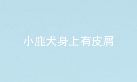 小鹿犬身上有皮屑