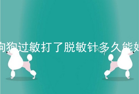 狗狗过敏打了脱敏针多久能好