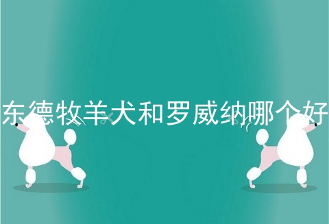 东德牧羊犬和罗威纳哪个好
