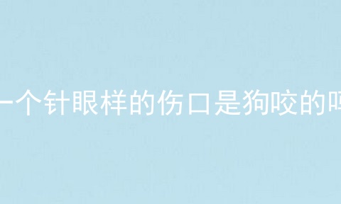 一个针眼样的伤口是狗咬的吗