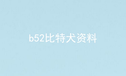 b52比特犬资料