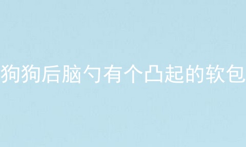 狗狗后脑勺有个凸起的软包