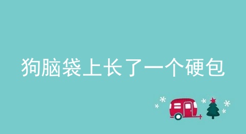 狗脑袋上长了一个硬包