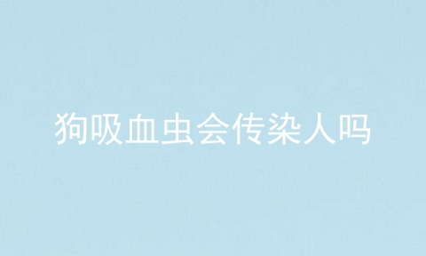 狗吸血虫会传染人吗