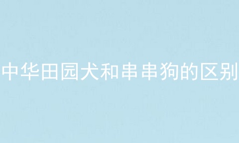 中华田园犬和串串狗的区别