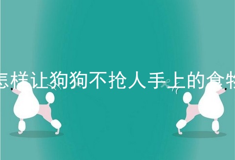 怎样让狗狗不抢人手上的食物
