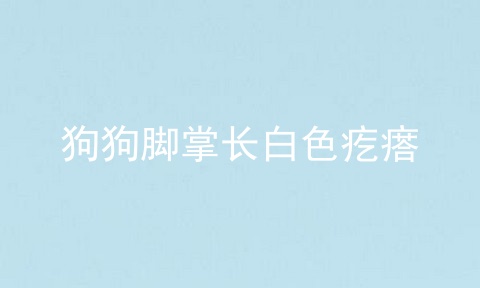 狗狗脚掌长白色疙瘩