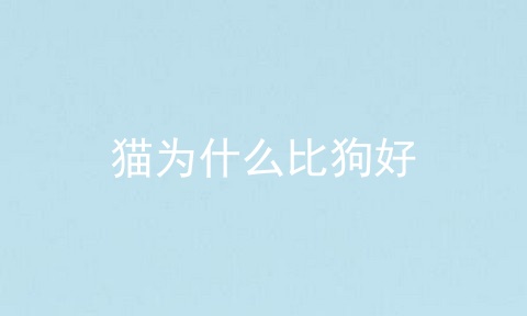 猫为什么比狗好