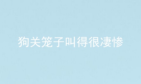 狗关笼子叫得很凄惨