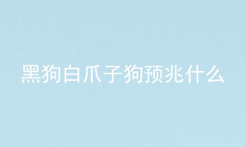 黑狗白爪子狗预兆什么