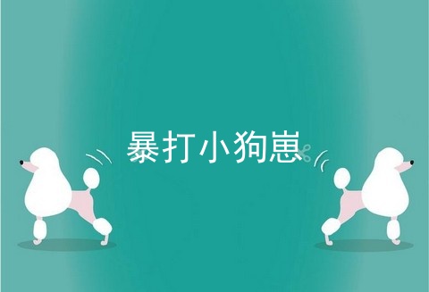 暴打小狗崽