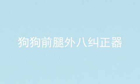 狗狗前腿外八纠正器