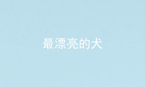 最漂亮的犬