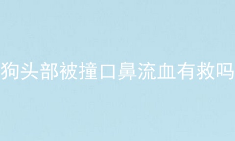 狗头部被撞口鼻流血有救吗