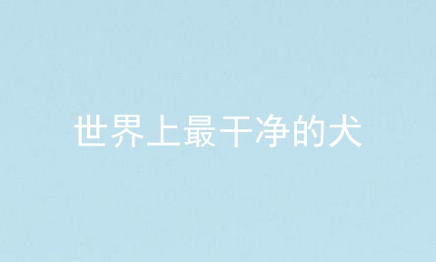 世界上最干净的犬