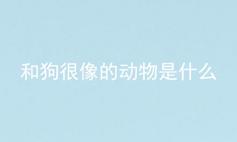 和狗很像的动物是什么