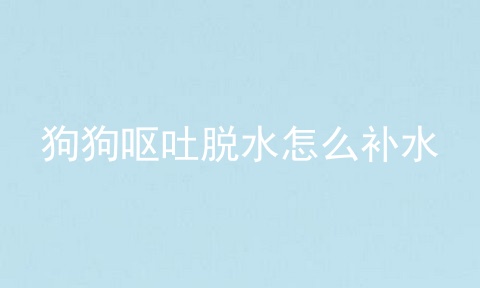 狗狗呕吐脱水怎么补水