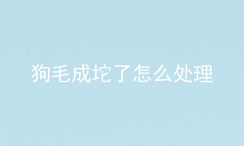 狗毛成坨了怎么处理