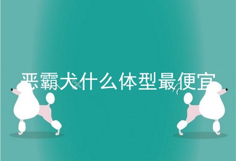 恶霸犬什么体型最便宜
