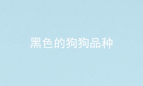 黑色的狗狗品种