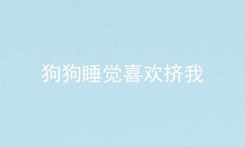 狗狗睡觉喜欢挤我