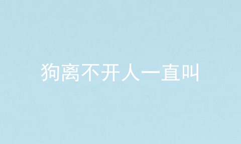 狗离不开人一直叫