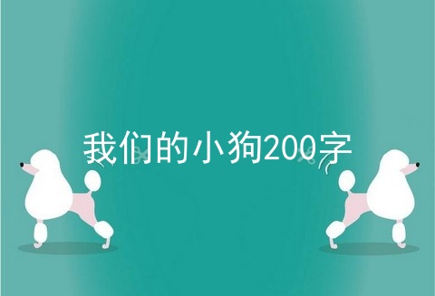 我们的小狗200字