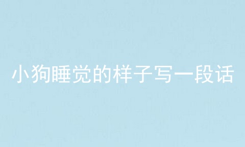 小狗睡觉的样子写一段话