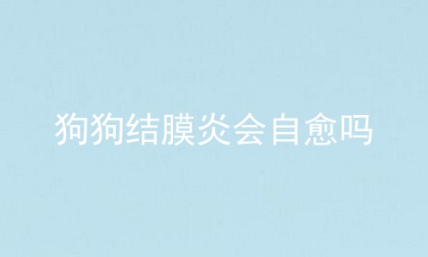 狗狗结膜炎会自愈吗