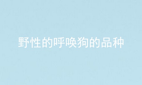 野性的呼唤狗的品种