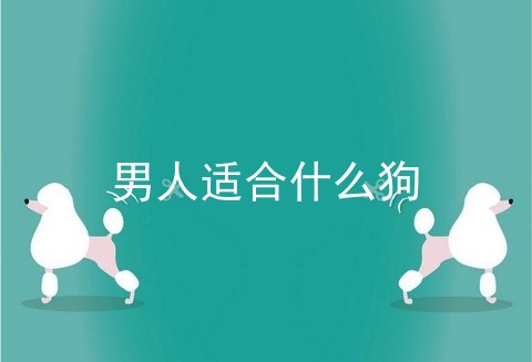 男人适合什么狗
