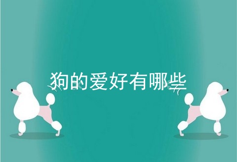 狗的爱好有哪些