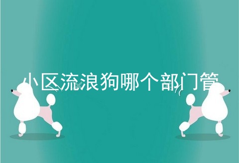 小区流浪狗哪个部门管