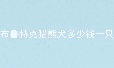 布鲁特克猎熊犬多少钱一只