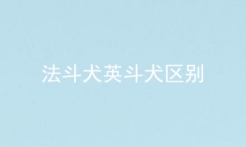 法斗犬英斗犬区别