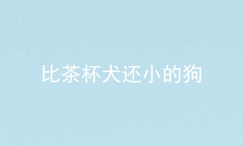 比茶杯犬还小的狗