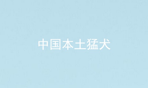 中国本土猛犬
