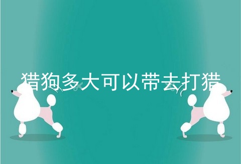 猎狗多大可以带去打猎