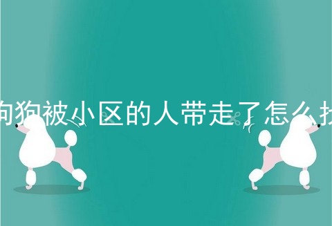 狗狗被小区的人带走了怎么找